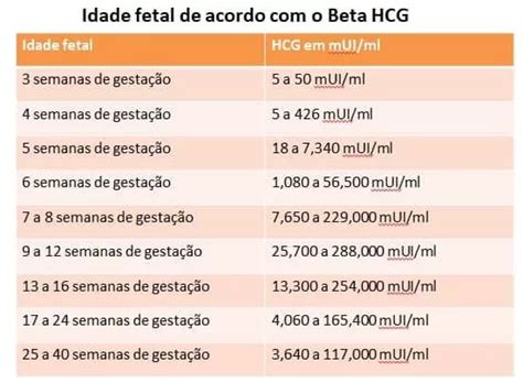 beta hcg araújo e confiável - Teste beta hcg 